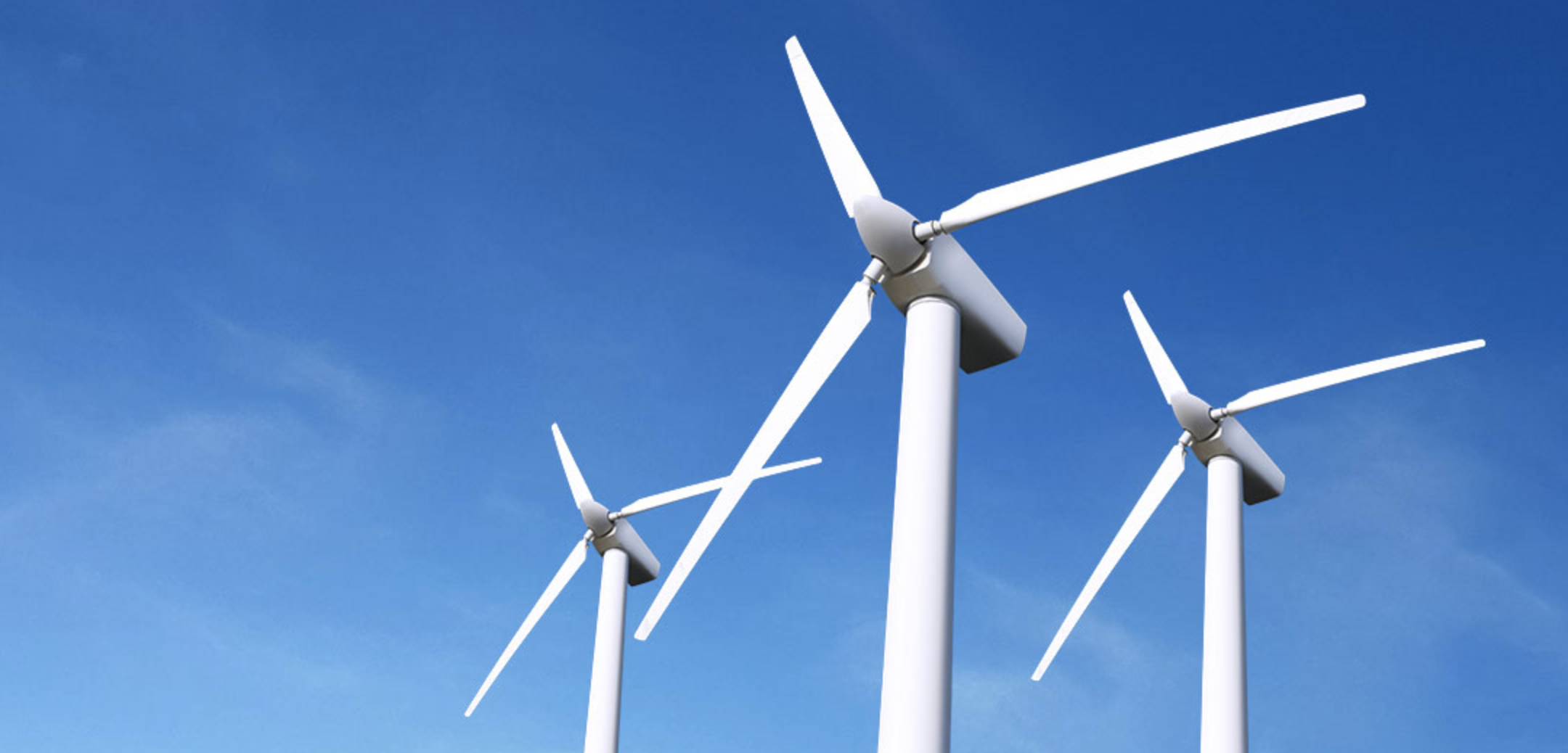 Eco-Friendly Featured Image