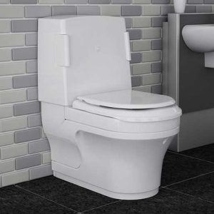 Wash-Dry Toilet