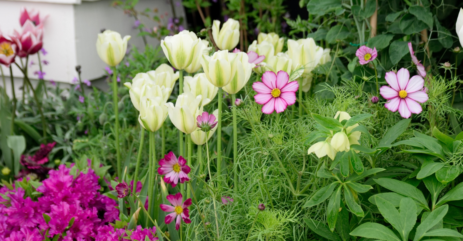 Garden Show Ireland Featured Image