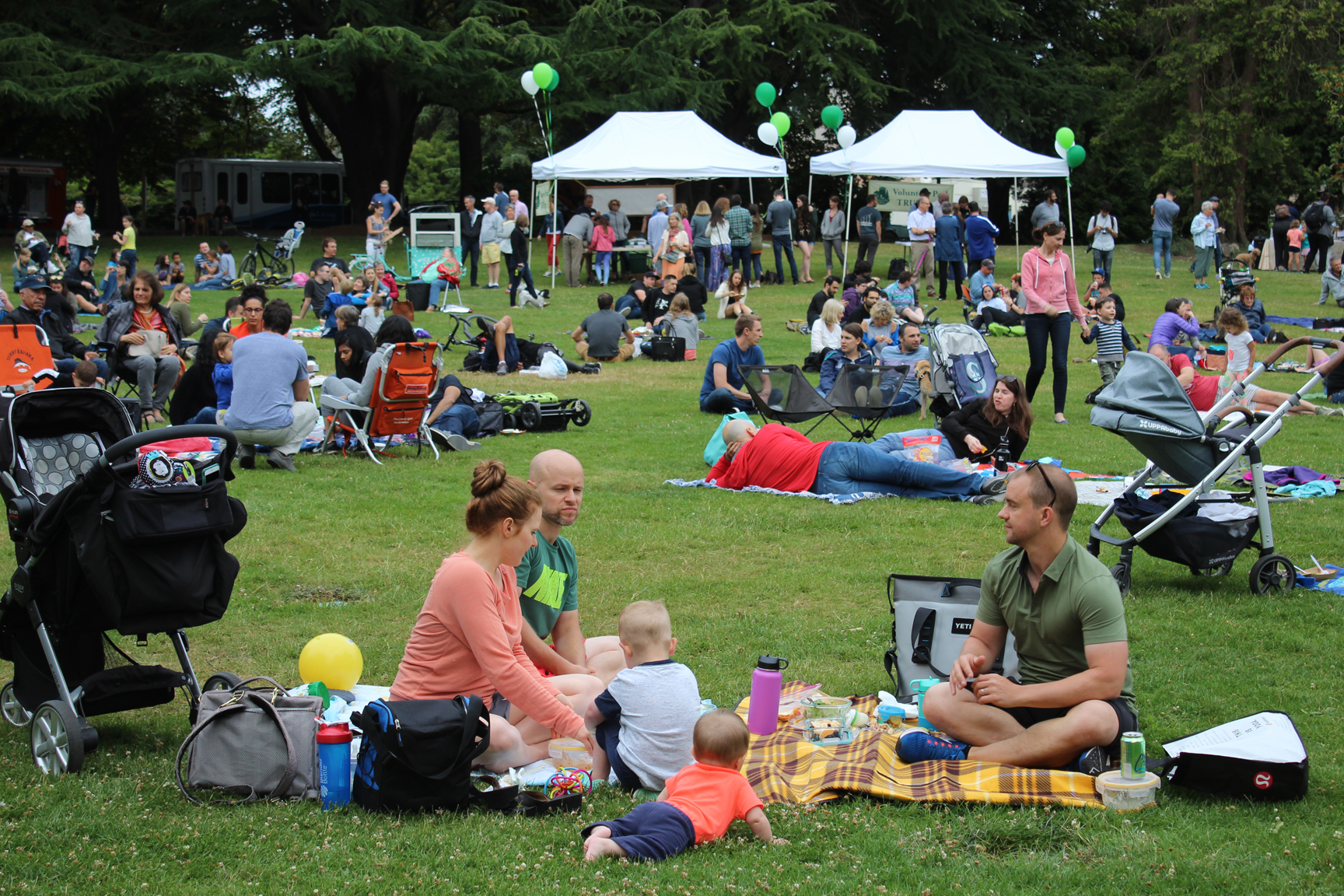 Picnic in the Park Featured Image