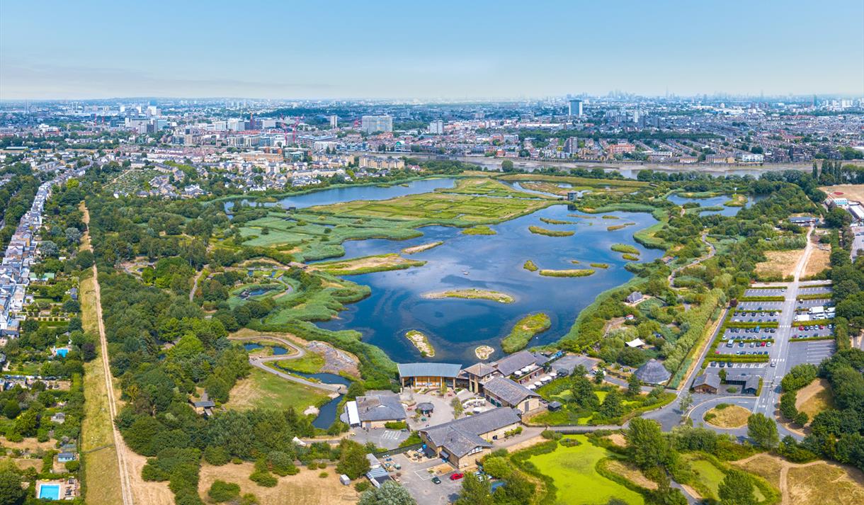 London Wetlands Event Featured Image
