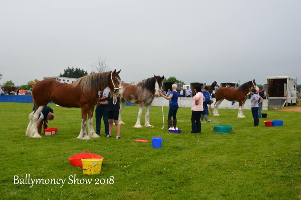 Ballymoney Show Featured Image
