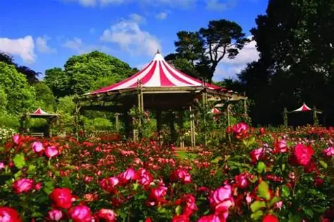 Rose Fair Featured Image