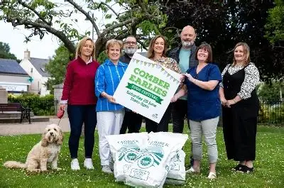 Comber Earlies Featured Image